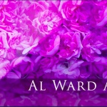 Abdul Samad al Qurashi - Rose Taef (Al Ward Al Taifi)